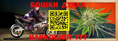 шишки Гусев