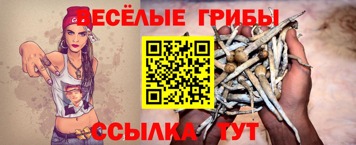 Новокуйбышевск  Псилоцибиновые грибы мухоморы  Вход с VPN 