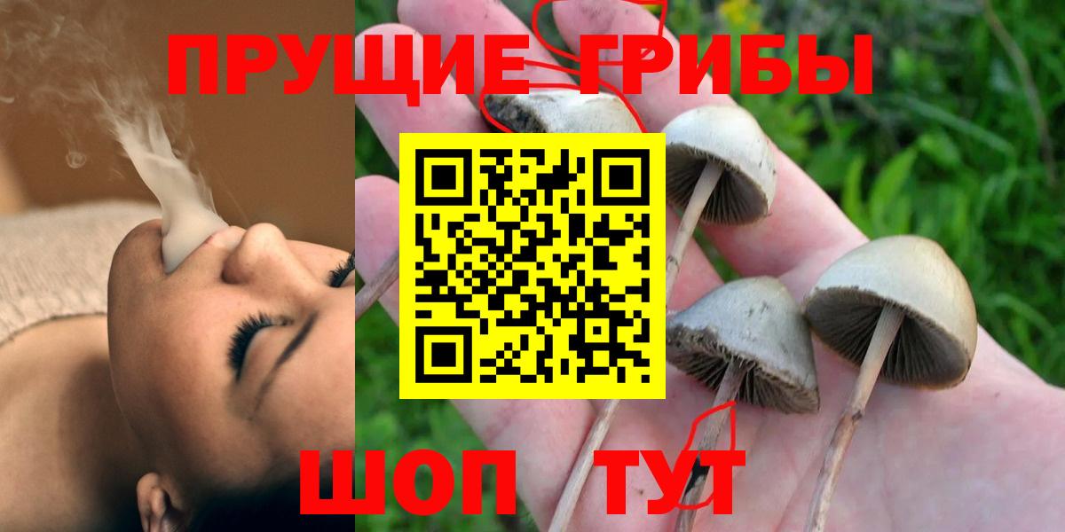 Галлюциногенные грибы мухоморы Новокуйбышевск